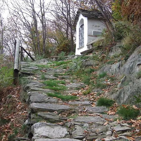B&B La Casa Nel Bosco *