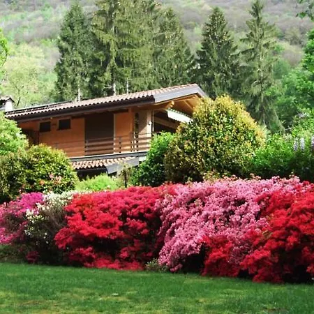 La Casa Nel Bosco