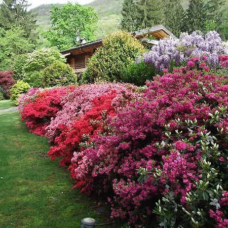 La Casa Nel Bosco * 메르고초
