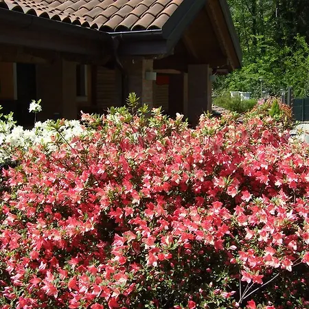 Bed & Breakfast La Casa Nel Bosco *