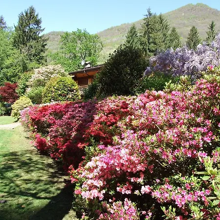 La Casa Nel Bosco Bed & Breakfast