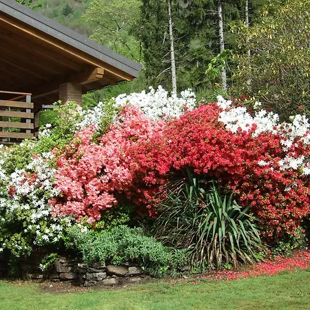 Bed & Breakfast La Casa Nel Bosco