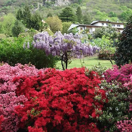 La Casa Nel Bosco Bed & Breakfast