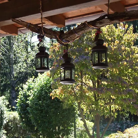 La Casa Nel Bosco Bed & Breakfast