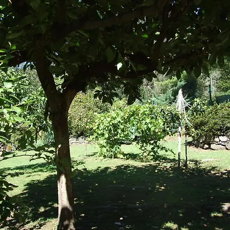 La Casa Nel Bosco Mergozzo