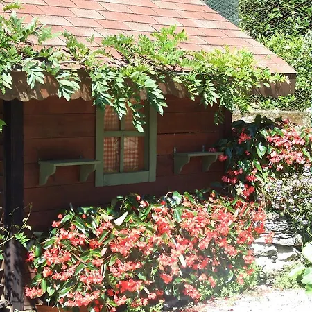 B&B La Casa Nel Bosco