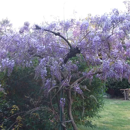 Bed & Breakfast La Casa Nel Bosco