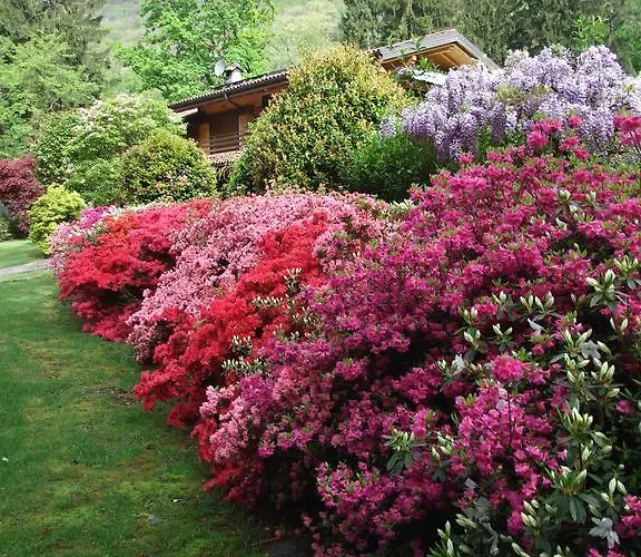 La Casa Nel Bosco * Mergozzo