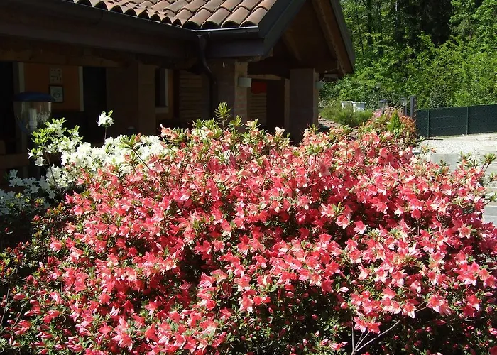 Bed & Breakfast La Casa Nel Bosco *