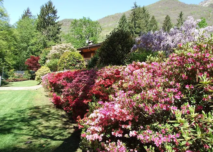 La Casa Nel Bosco Bed & Breakfast