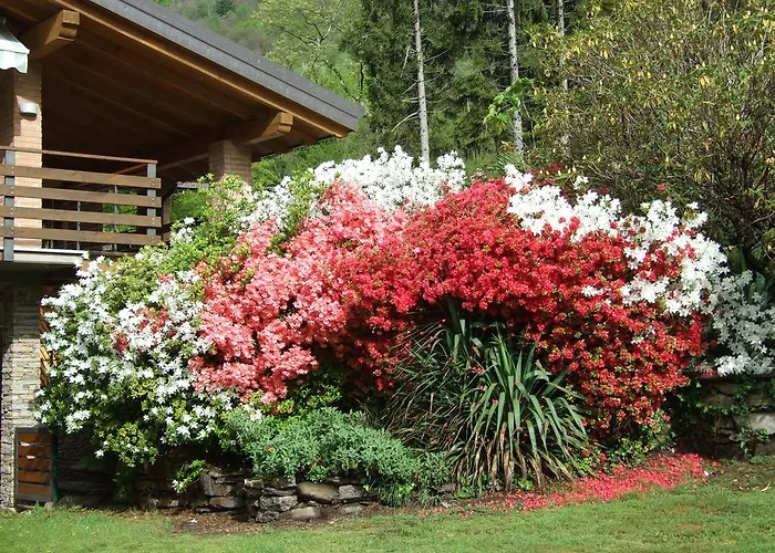 Bed & Breakfast La Casa Nel Bosco