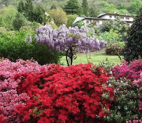 La Casa Nel Bosco Bed and breakfast