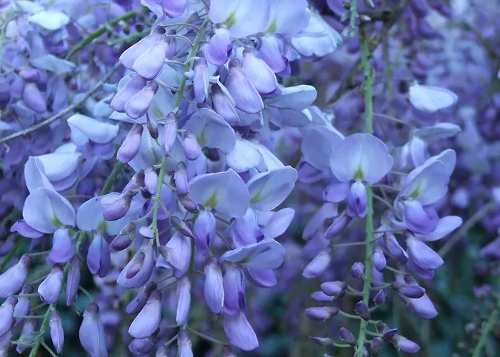 La Casa Nel Bosco Mergozzo