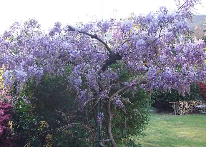 Bed and breakfast La Casa Nel Bosco
