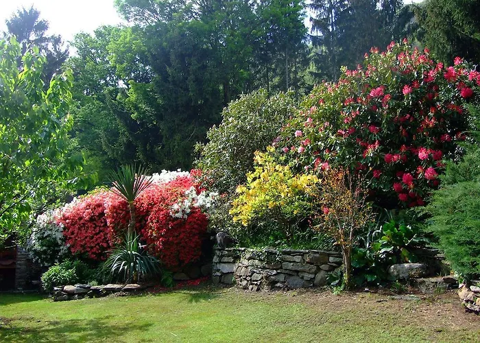 La Casa Nel Bosco Mergozzo